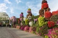 Decorative flower-decorated pedestrian alley on the territory of the botanical Dubai Miracle Garden in Dubai city, United Arab