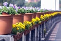 Decorative flowers in baskets along the marble parapet