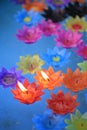 Decorative flowers candles Royalty Free Stock Photo