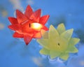 Decorative flowers candles