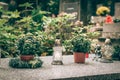 All Saints day, white burning candles and flowers on the grave Royalty Free Stock Photo