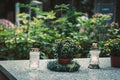 All Saints day, white burning candles and flowers on the grave Royalty Free Stock Photo