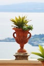 Decorative flowers in clay flowerpot in the form of Greek amphora against background of sea bay. Travel to Italy. Outdoor. Royalty Free Stock Photo