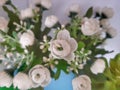 Decorative flowers with a mixture of green and white