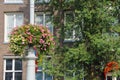 Decorative flowers on a pole near the building in Amsterdam Royalty Free Stock Photo
