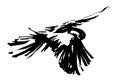 Decorative flying bird painted by black ink. Hand drawn vector illustration.