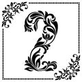 Decorative Font with swirls and floral elements. Ornate decorate Royalty Free Stock Photo