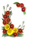 Decorative frame of bright red and yellow flowers Royalty Free Stock Photo