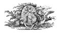 Decorative frame with cherubs, birds and flowers | Antique Design Illustrations