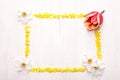 Decorative frame of dafodils Royalty Free Stock Photo