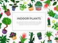 Decorative Frame with Houseplant in Ceramic Pots Growing Indoors Vector Template