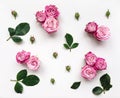 Decorative frame with pink bright roses and leaves on white background