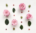 Decorative frame with pink bright roses and leaves on white background