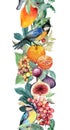 Decorative fruits and birds beautiful seamless banner: mango fruit, exotic leaves. Watercolor tropical repeated stripe Royalty Free Stock Photo