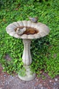 Decorative garden birdbath