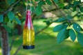 Decorative garden bottle with led lamp Royalty Free Stock Photo