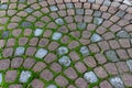 Decorative garden pavement tiles.