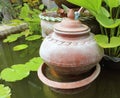 Decorative garden with terracotta pots Royalty Free Stock Photo