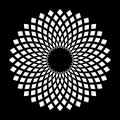 Decorative Geometric Radial White Circle Pattern on Black Background