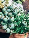 Decorative giant poppy heads in small florist shop