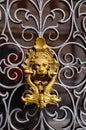 Decorative gilded lion head golden knob, Venice Royalty Free Stock Photo