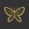 Decorative gold butterfly. Elegant linear silhouette. Item for logo.