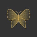Decorative gold butterfly. An elegant silhouette. Item for logo.