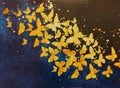 Decorative golden butterfly on a black background Royalty Free Stock Photo