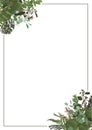 Decorative golden rectangular frame with eucalyptus, fern and boxwood branches isolated on white. For wedding invitations, Royalty Free Stock Photo