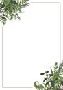 Decorative golden rectangular frame with eucalyptus, fern and boxwood branches isolated on white. For wedding invitations, Royalty Free Stock Photo