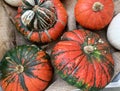 Decorative gourds, autumn and Halloween concept. Royalty Free Stock Photo