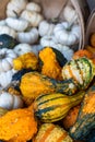 Decorative Gourds Miniature White Pumpkins