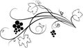 Decorative grape illustration (sketch)