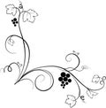 Decorative grape illustration (sketch)