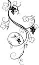 Decorative grape illustration (sketch)