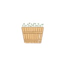 Decorative grass,, garden plants in flowerpot, basket. Blue spotted watering can isolated on white