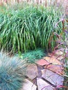 Decorative grass and stone path in the garden
