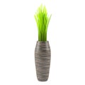 Decorative grass in the vase