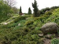 Decorative green area with flower beds, small bushes and stone boulders against the background of clear sky
