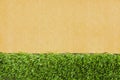 Decorative green grass artificial nature patterns on light brown concrete wall texture for background and space Royalty Free Stock Photo