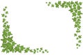 Decorative green ivy wall climbing plant vector frame