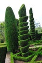Decorative green park - Botanical garden Funchal,