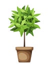 Decorative green tree. Houseplant in a pot. Vector illustration Royalty Free Stock Photo