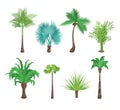 Decorative Green Tropical Palm Trees Set. Vector Royalty Free Stock Photo