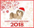 Decorative greeting card with puppy of shi tsu for Chinese New year 2018