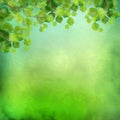 Decorative grunge green background