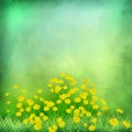 Decorative grunge green background