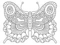 Decorative hand-drawn butterfly colouring page vector illustration Royalty Free Stock Photo