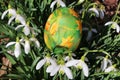 Decorative handicraft decoupage Easter egg amidst snowdrop flowers