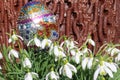 Decorative handicraft sequin Easter egg among snowdrop flowers